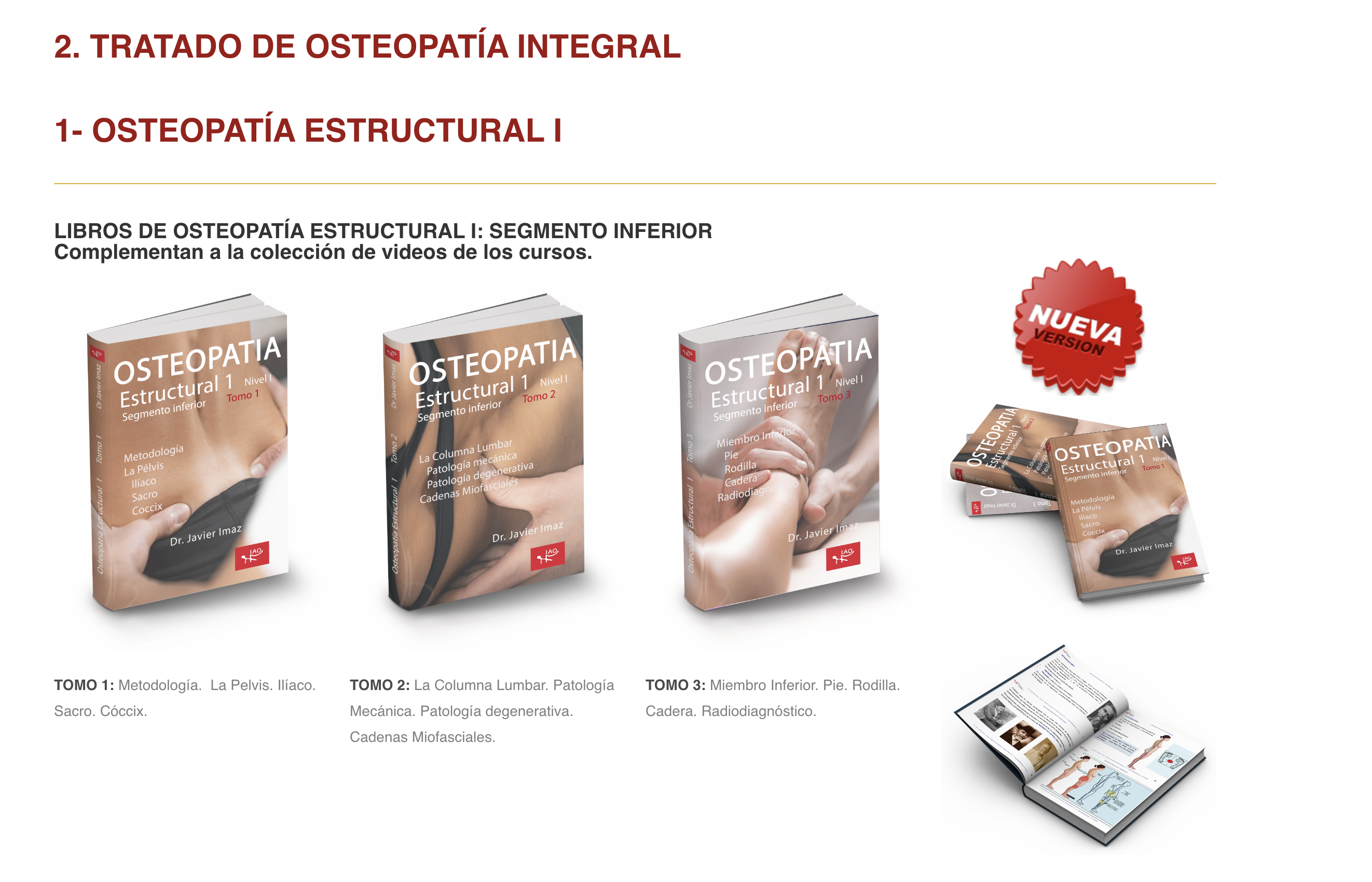 Formación osteopatía estructural