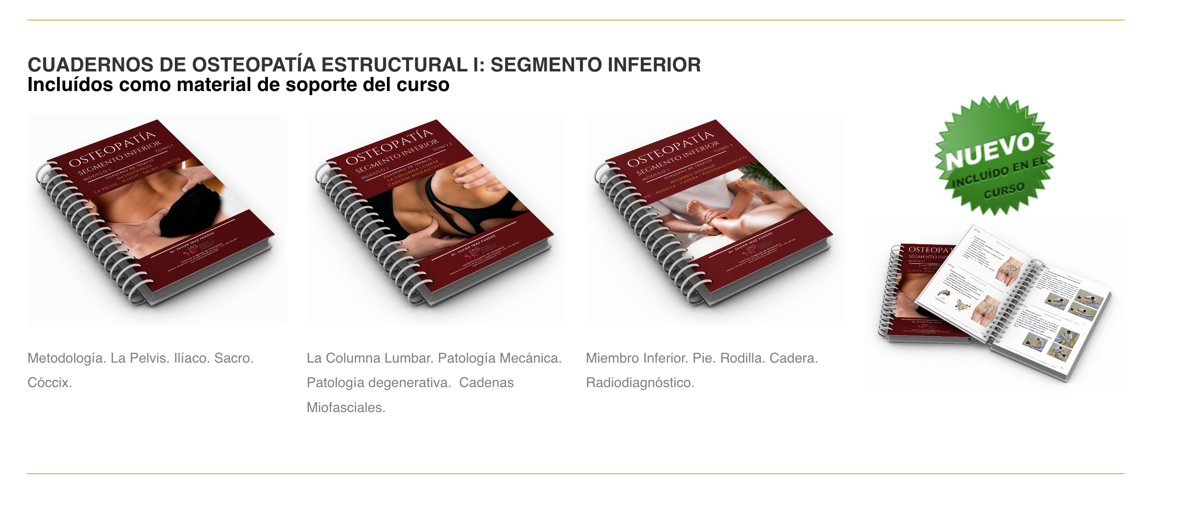 Clase osteopatía estructural