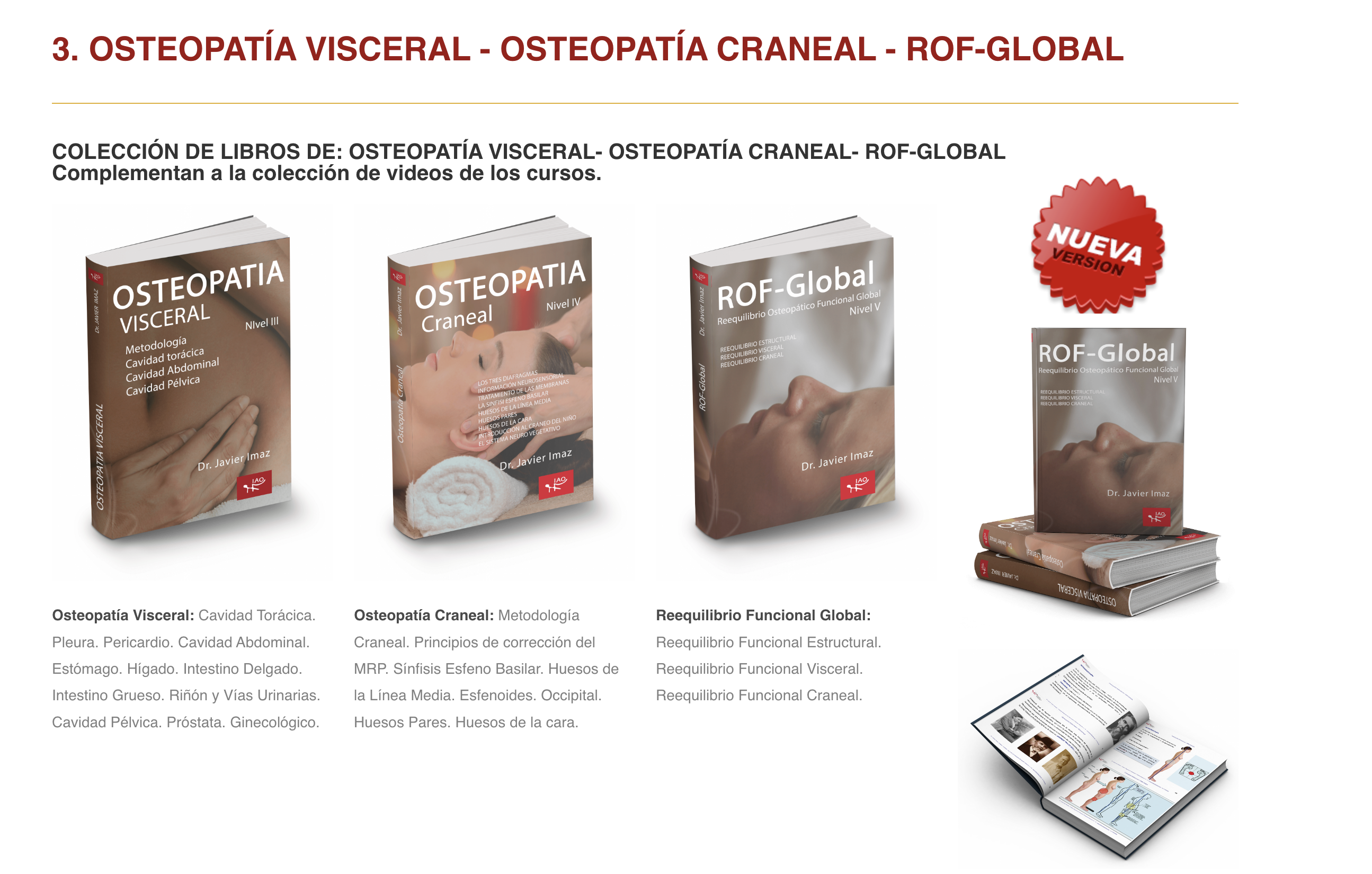 Clase osteopatía visceral